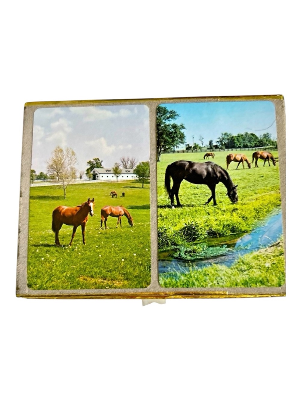 Vintage Congress Playing Cards Cell-U-Tone Finish Velour CarryingCase Horses EUC
